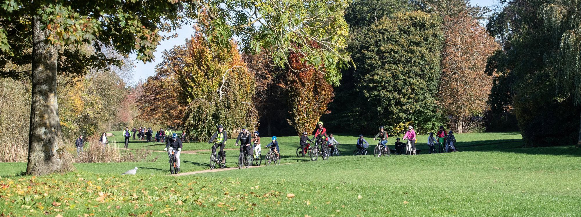 Cyclists in the distance winding through a linear park