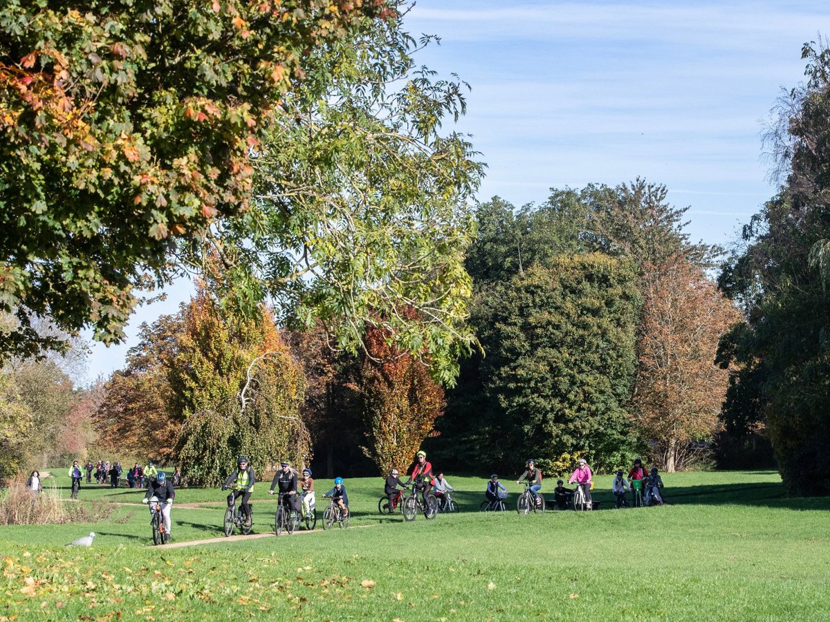 Cyclists in the distance winding through a linear park
