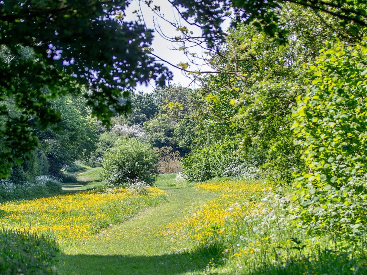 A winding path through cut grass in parkland of Milton Keynes