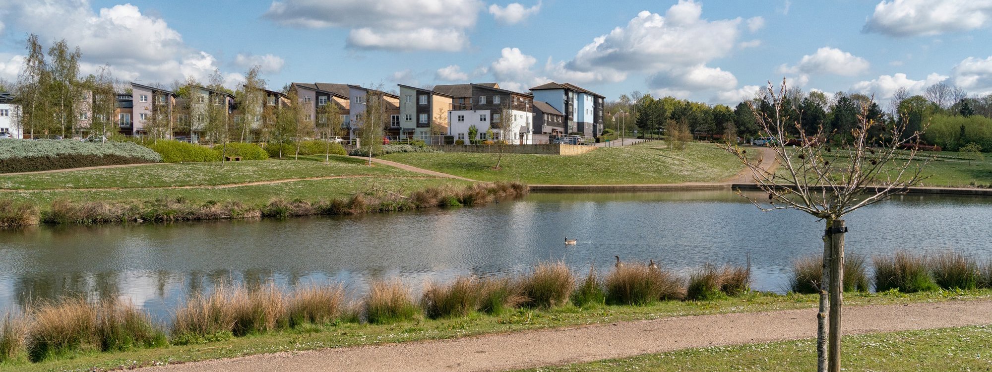 Bright day with a lake view and modern houses in the background 
