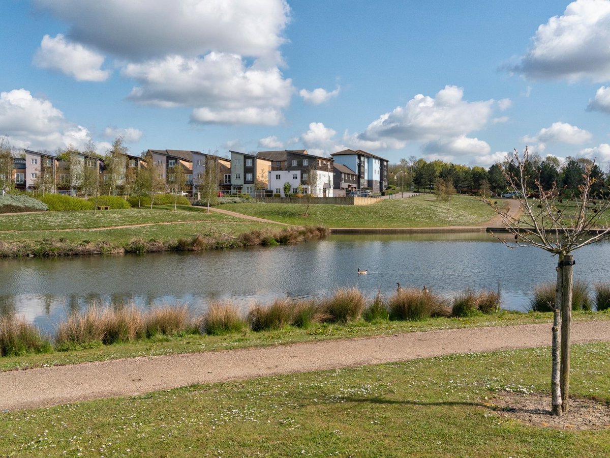 Bright day with a lake view and modern houses in the background 