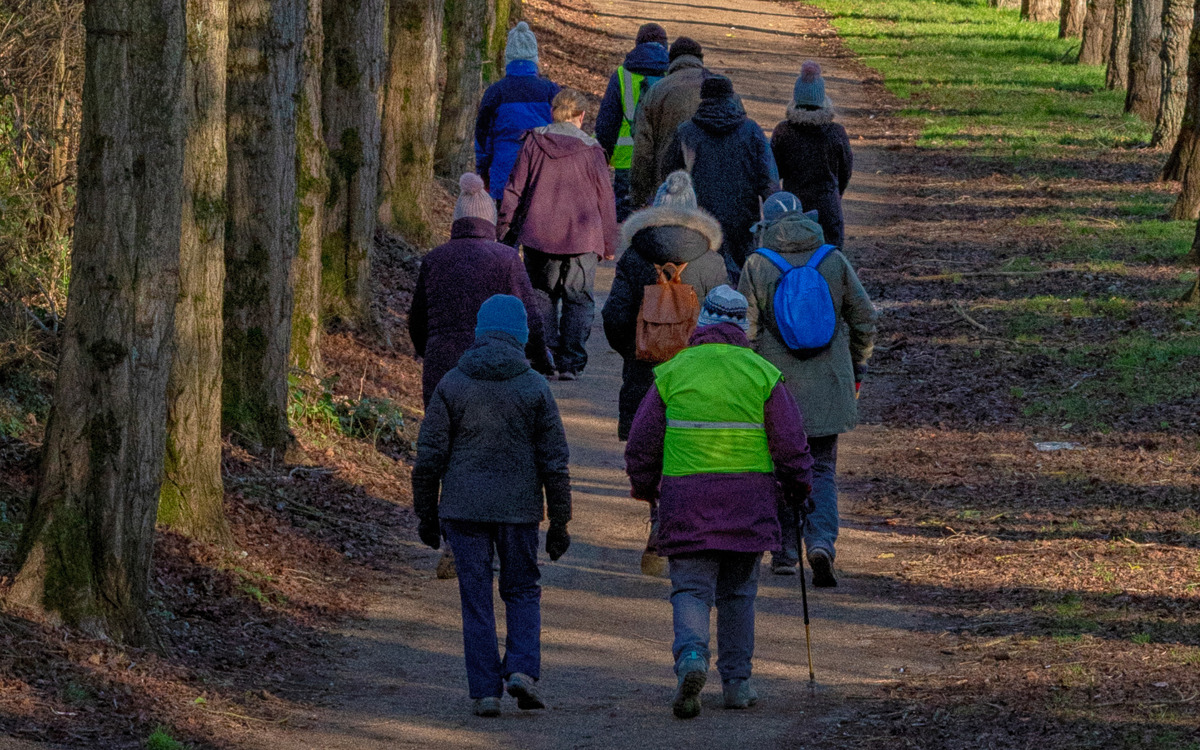 Group of walkers on a footpath along the Canal Broadwalk.