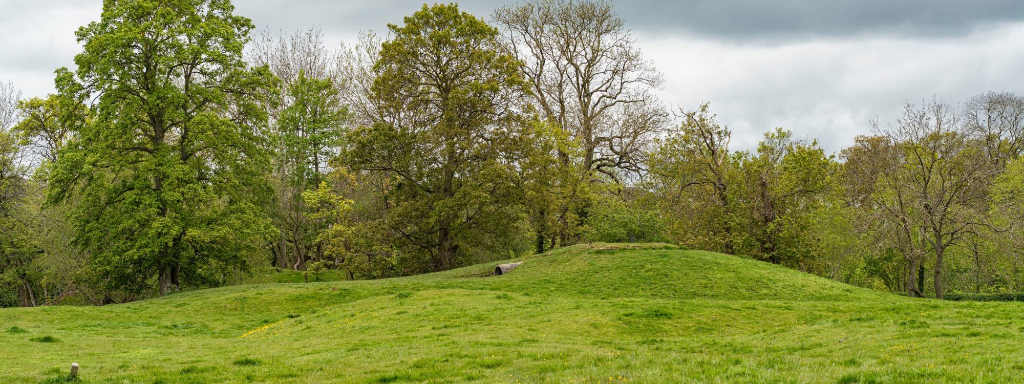 Grassy mound with trees behind
