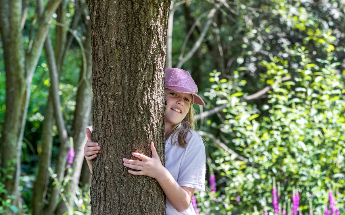 A young girl hugging a tree in a sunny woodland. There are tall purple flowers growing in the background