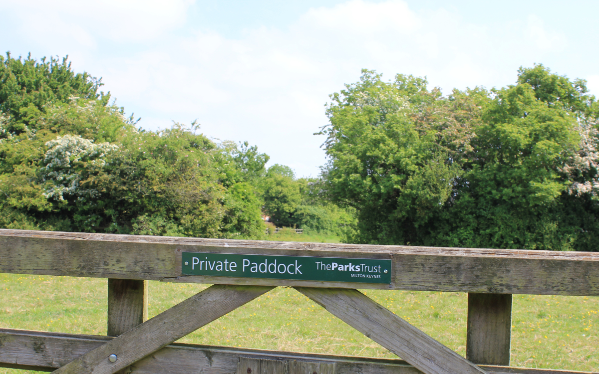 Paddock gate with trees in the background