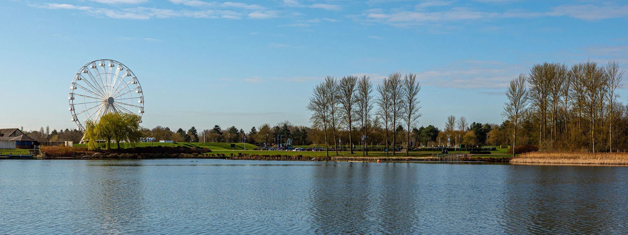 View across Willen Lake with trees and observation wheel