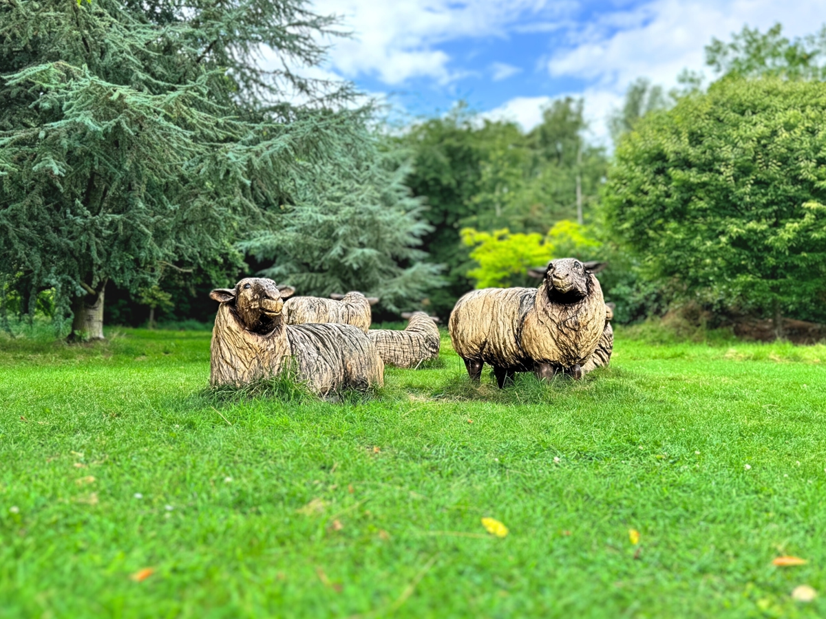  lifelike wooden sheep sculptures are positioned among green grass and trees in an outdoor park setting.