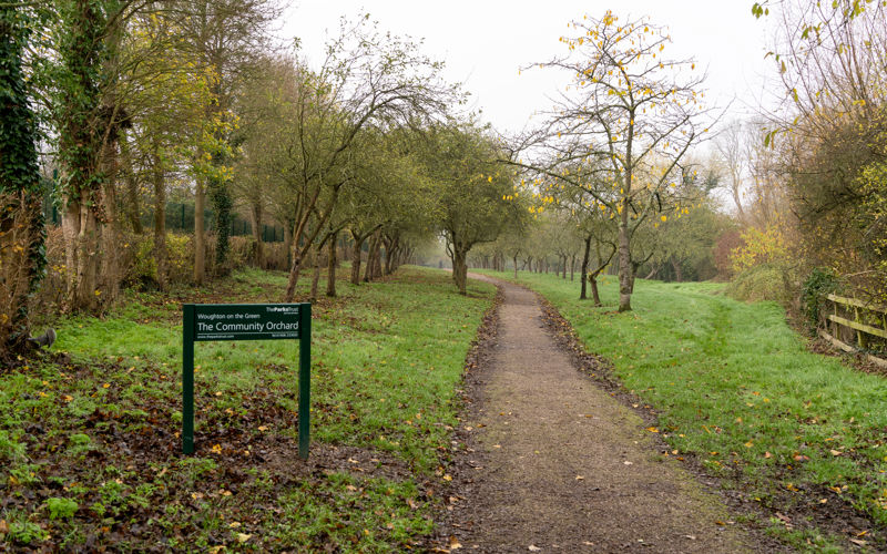 Visual Reference: Celebrating 50 Years Of Woughton On The Green Community Orchard