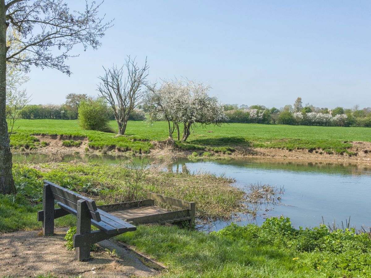 Bench overlooking pond in Millfield in Milton Keynes