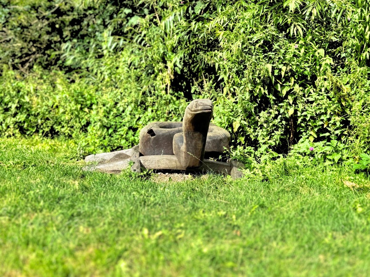 A wooden sculpture of a snake is placed on a grassy area, surrounded by dense, green foliage in the background.