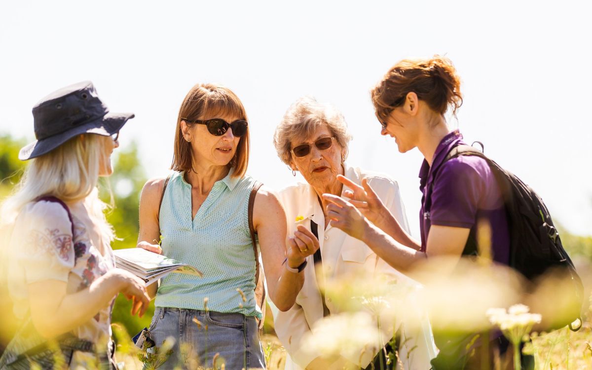 Adult group identifying wildflowers