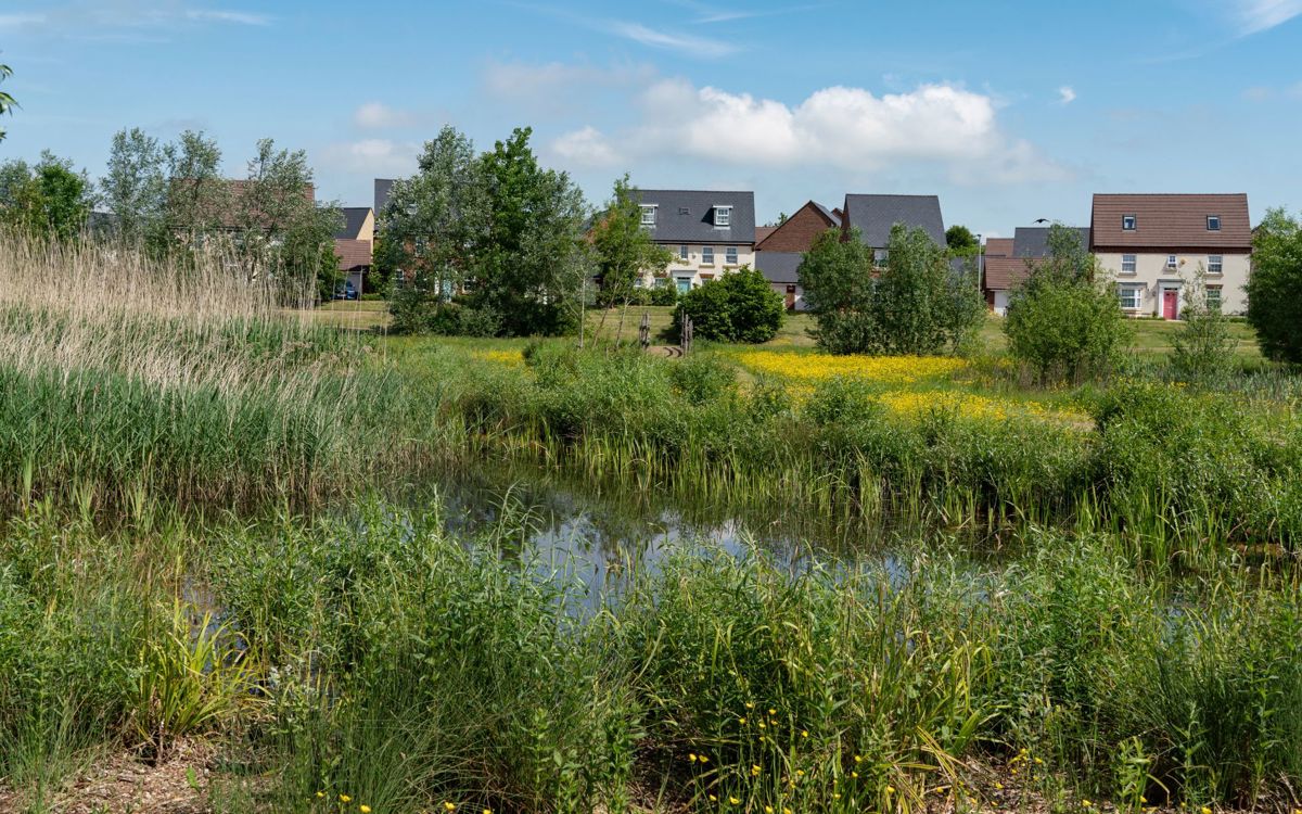 Sustainable urban drainage system in Brooklands Meadow Park in Milton Keynes