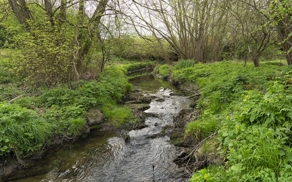 Stream