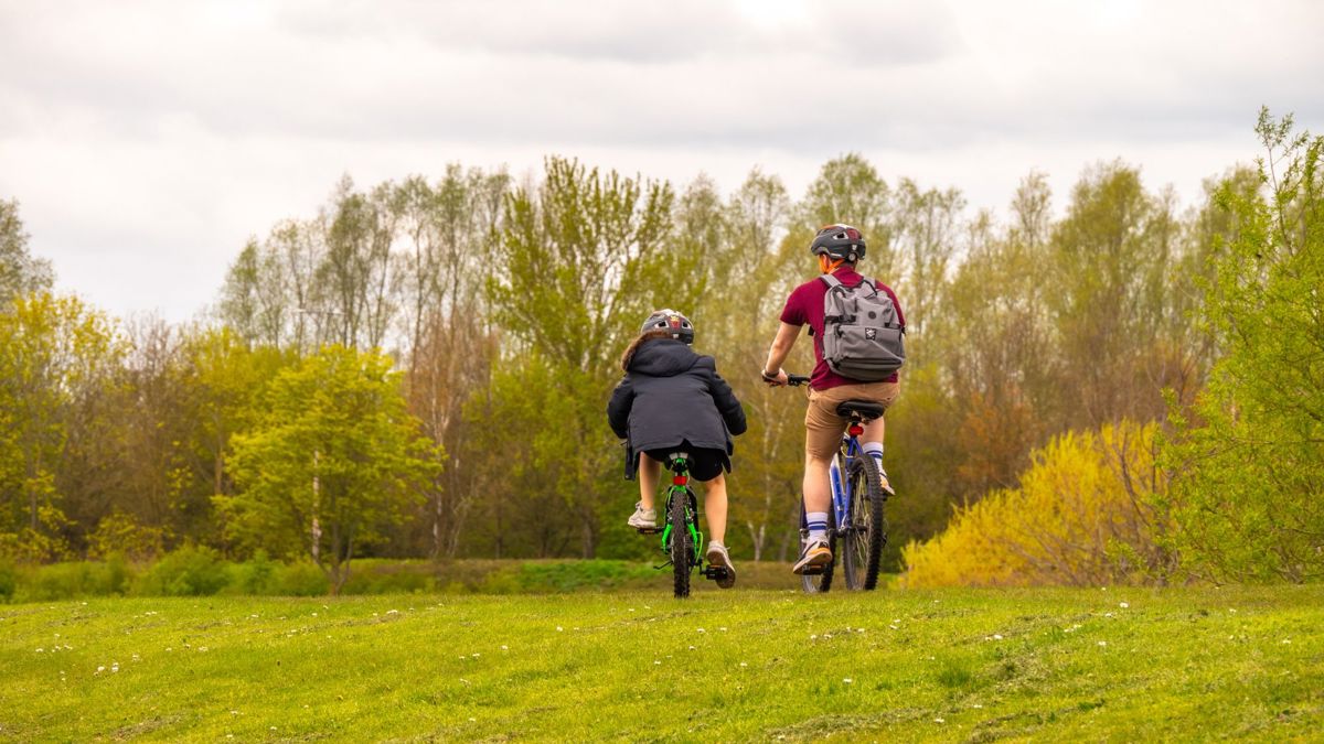 Parent and child riding on bikes in a park