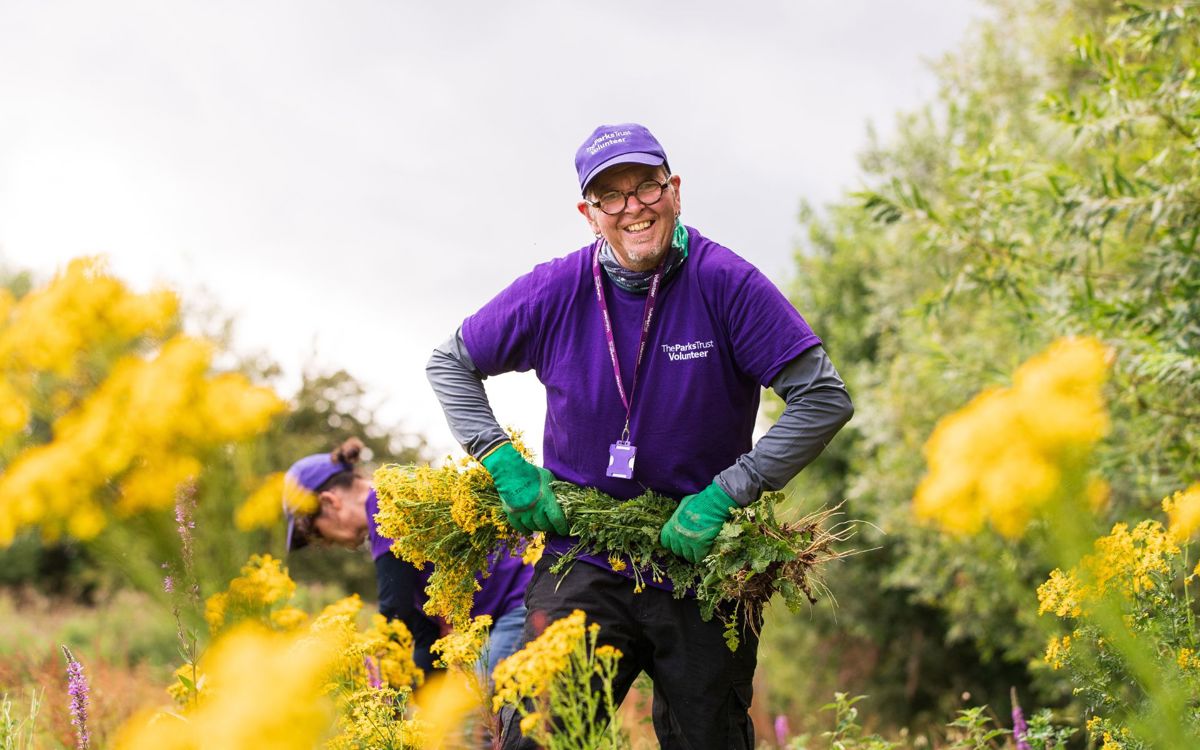 The Parks Trust volunteer helping clear ragwort from parks