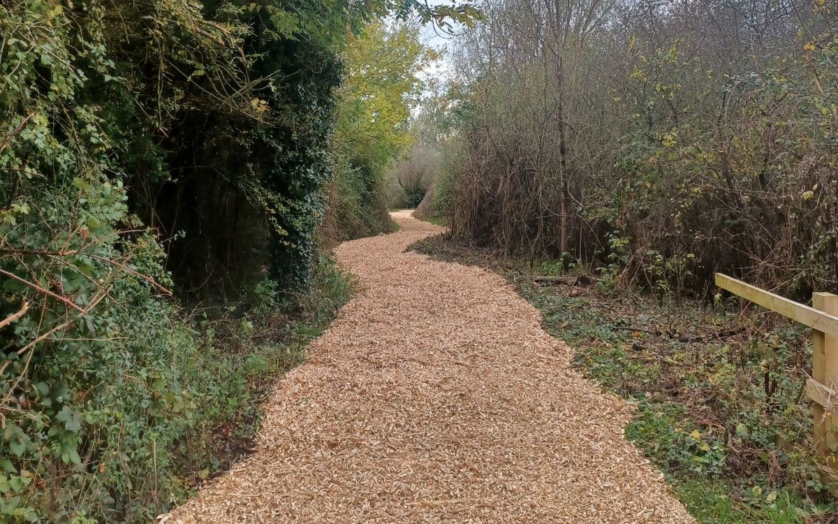 Freshly laid woodchip on path through trees