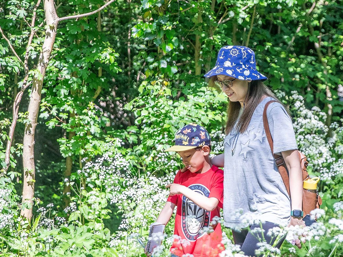 Walk & Talk: Summer Holiday Wellbeing Wander