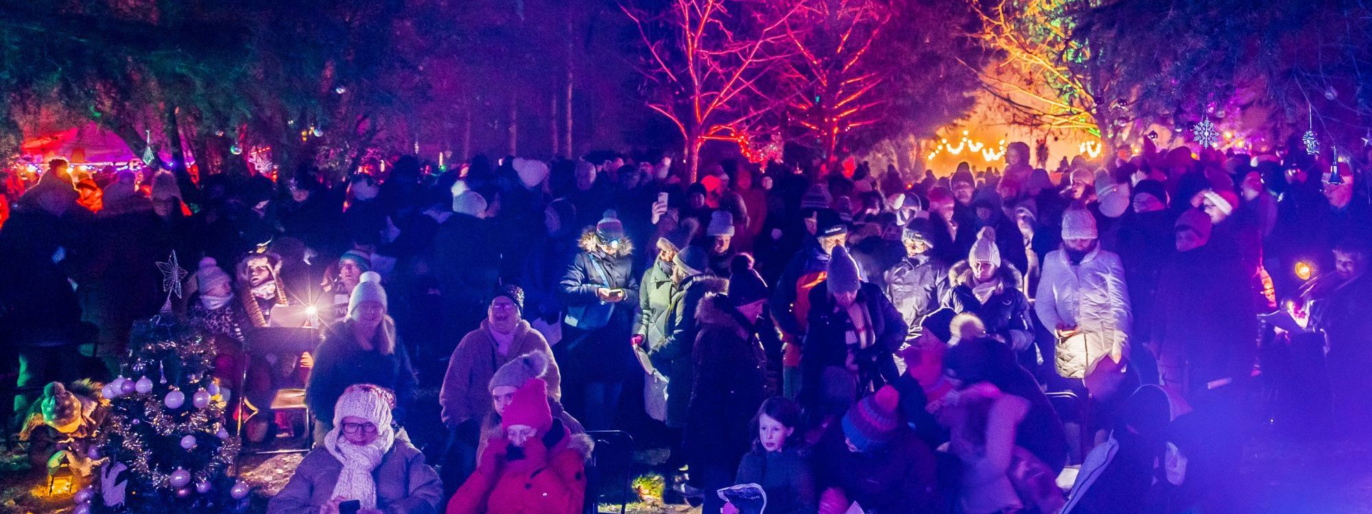 members of the public gathered at the colourful Tree Cathedral singing the Carols 