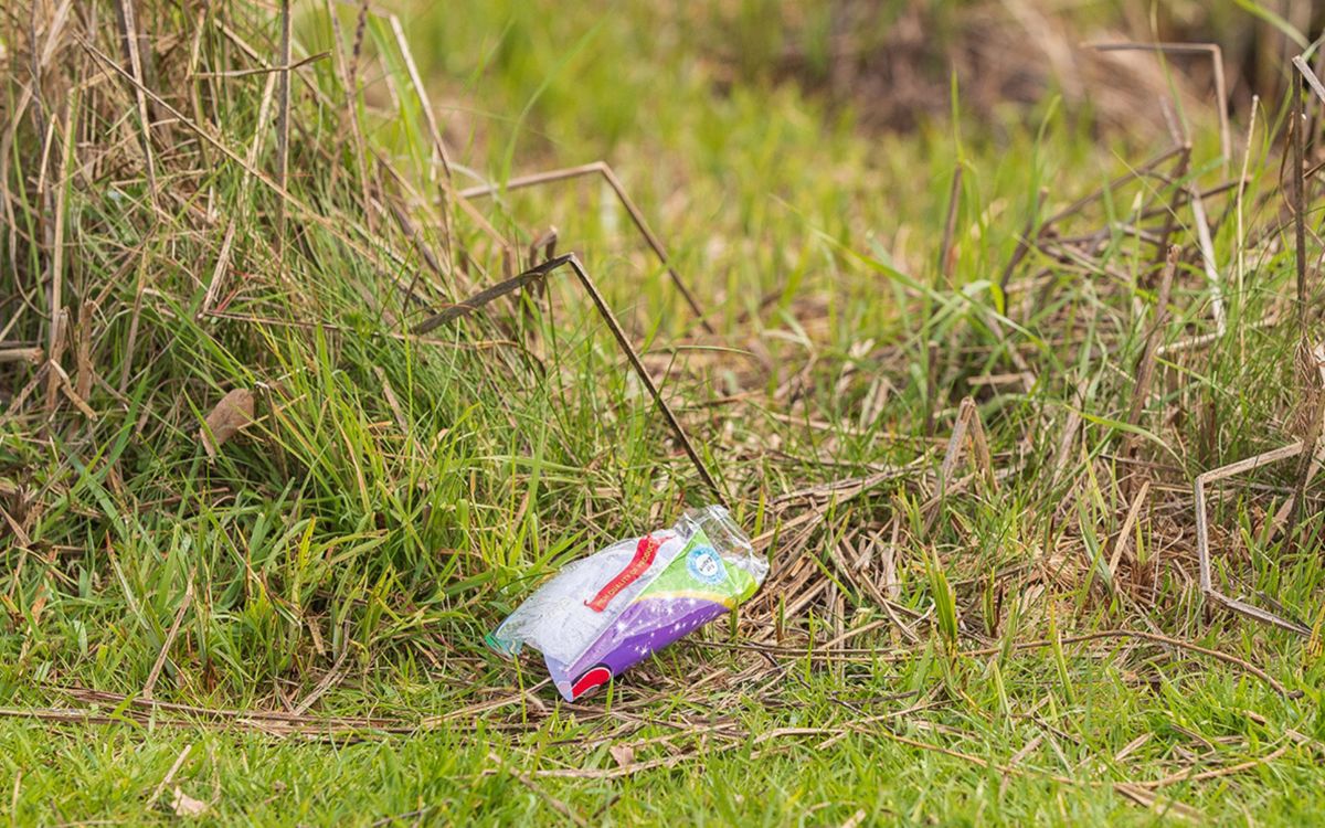 Piece of litter in grass