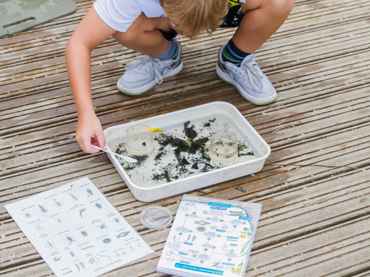 A child is crouched down on some decking looking into a plastic tray that contains some water, small pond creatures and debris. They are holding a plastic spoon in the water and are surrounded by identification guides. 
