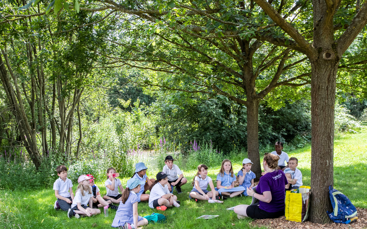 Children and a leader sit beneath the shade of a tree in a sunny woodland. The leader sits with their back to a thin oak tree, the children sit in a semi-circle facing her. The leader is holding up a printed photograph for the students to look at. 