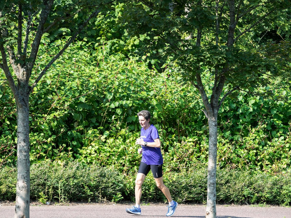 A solo female runner in between two trees in green springtime parkland 