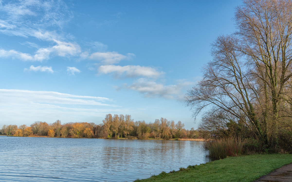 Lake and trees on the banks.