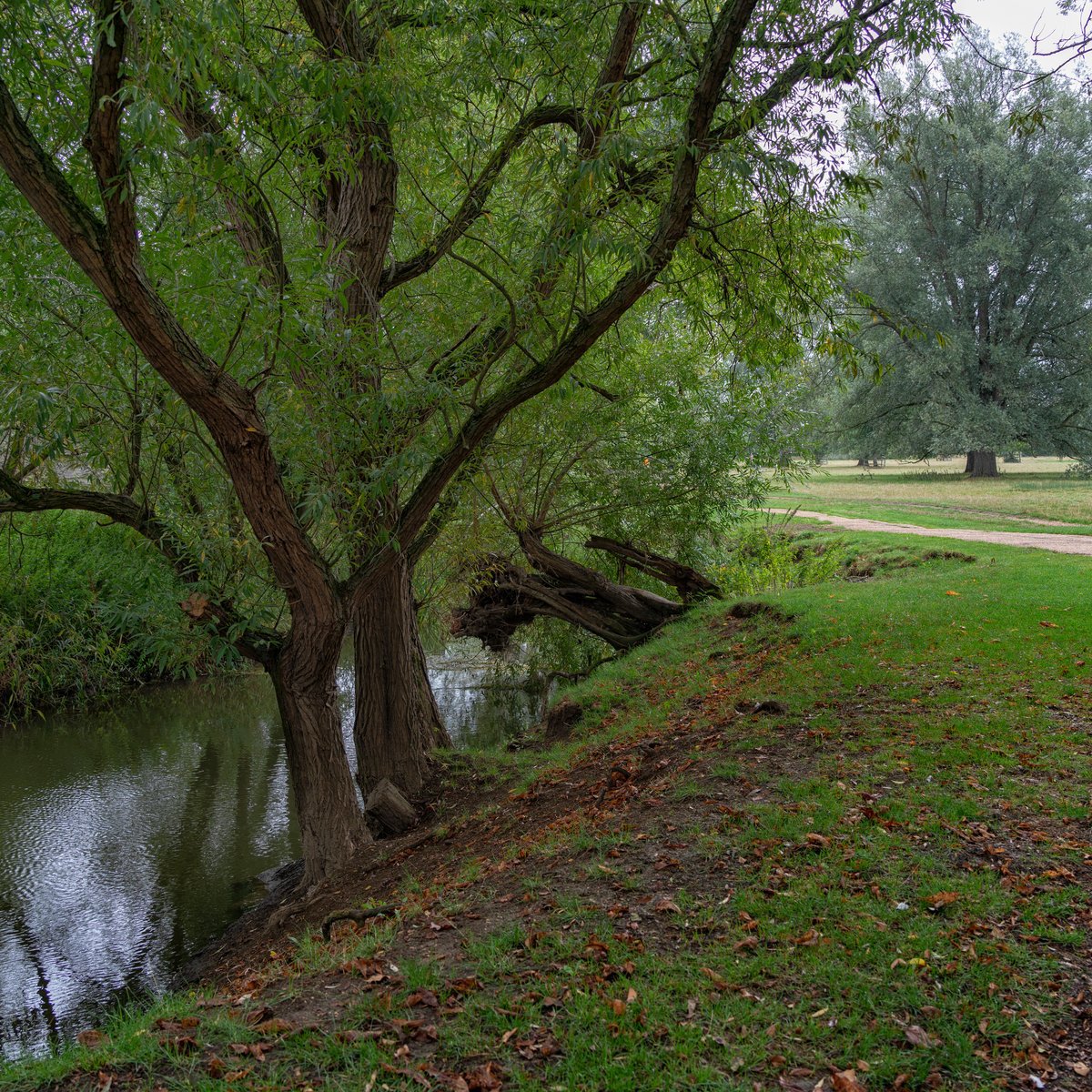 Path along river in autumn
