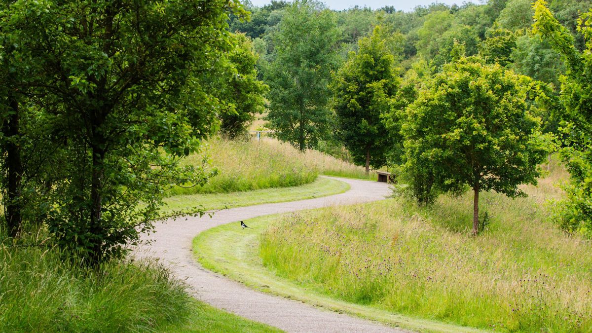 Leisure route path through woodland in Milton Keynes