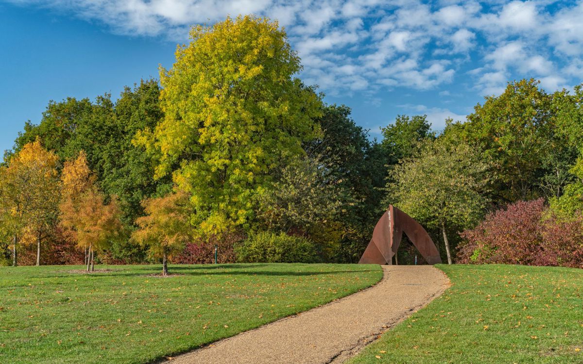 Tree Species Near Campbell Park With Head Sculpture