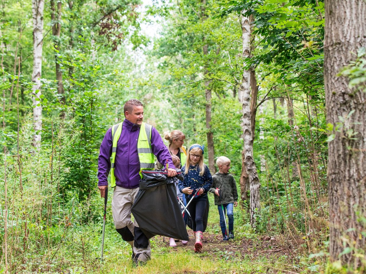 A ranger in hivis litter picking in a woodland scene