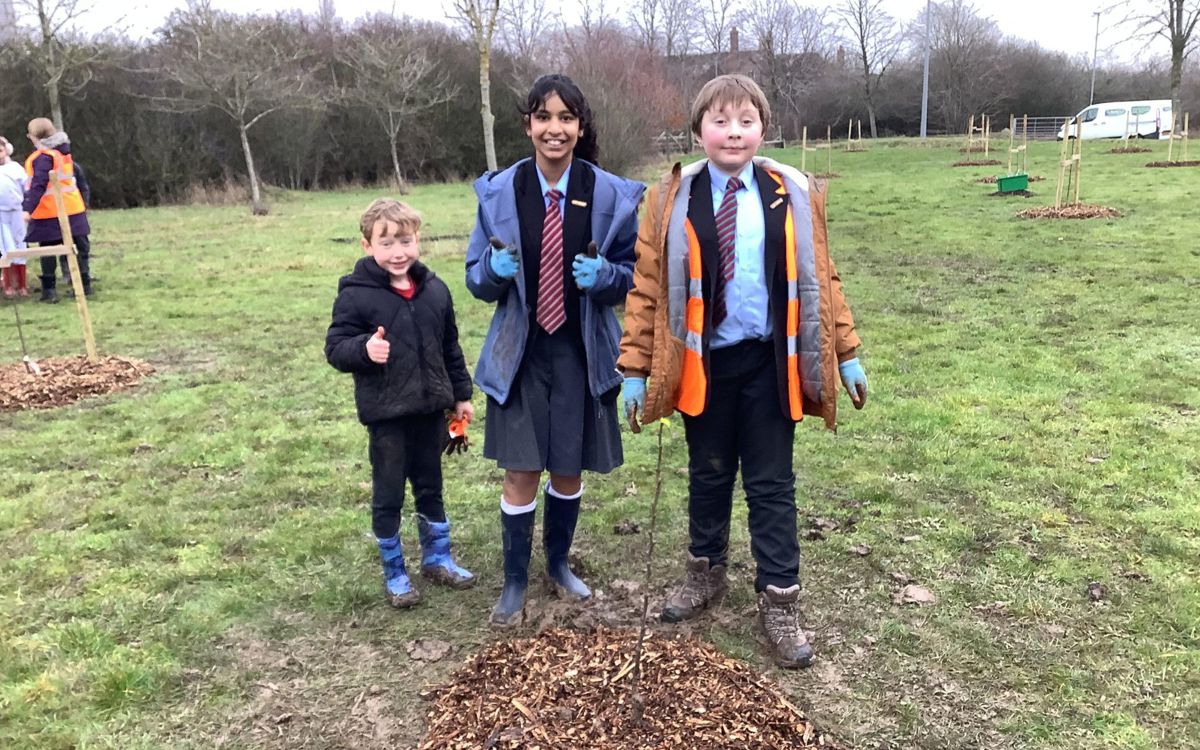 School children planting a tree