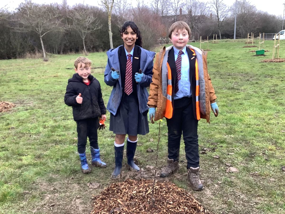 School children planting a tree