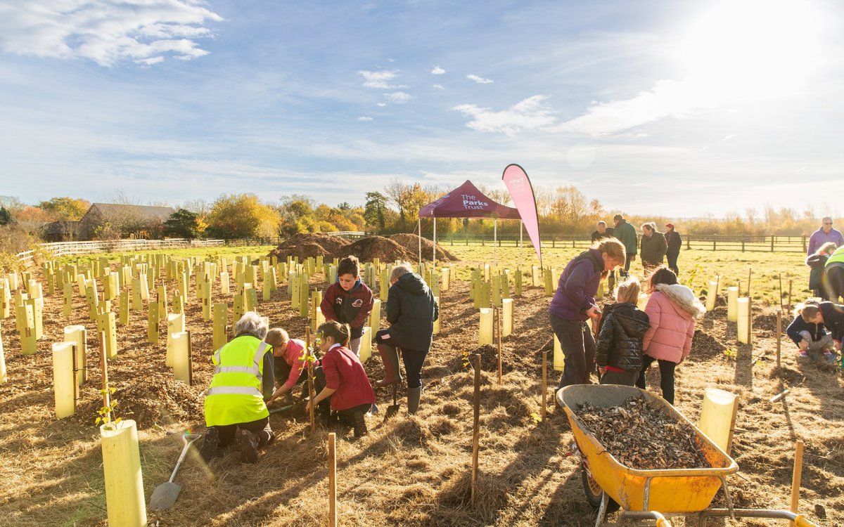 School children planting trees with the help of adults in park