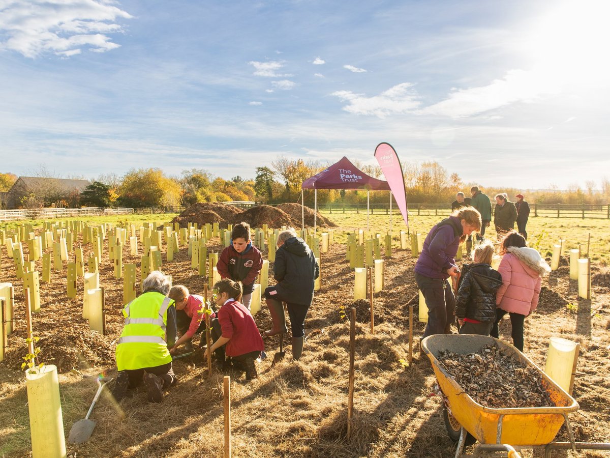 School children planting trees with the help of adults in park