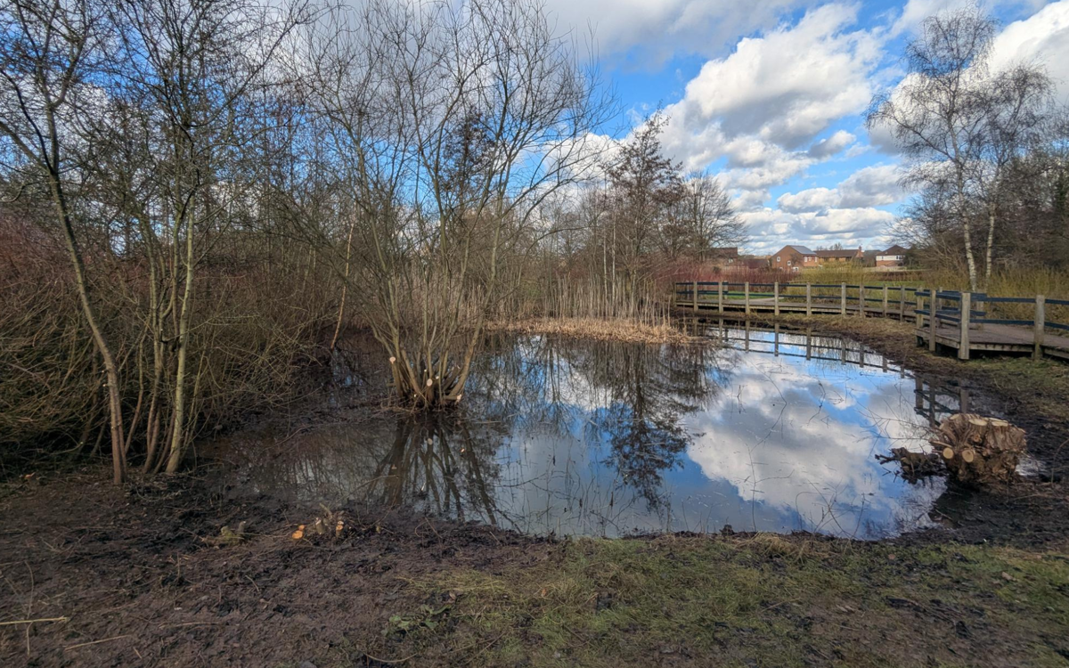 Restored pond near Caldecotte Brook