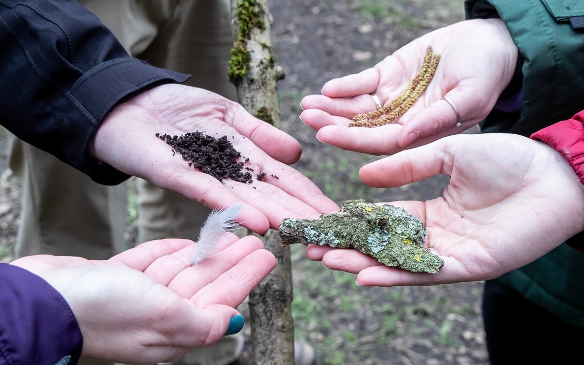 Hands with natural materials in the palms including soil, feather and bark
