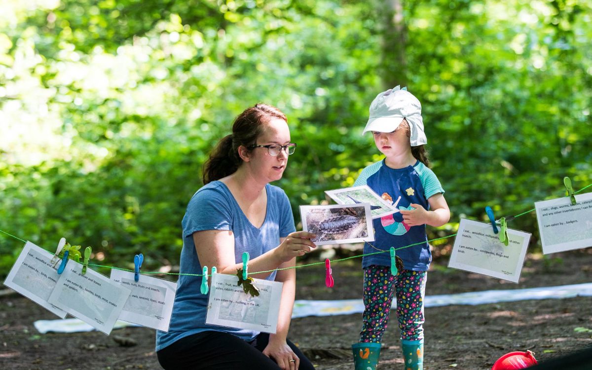 Outdoor education in the woods