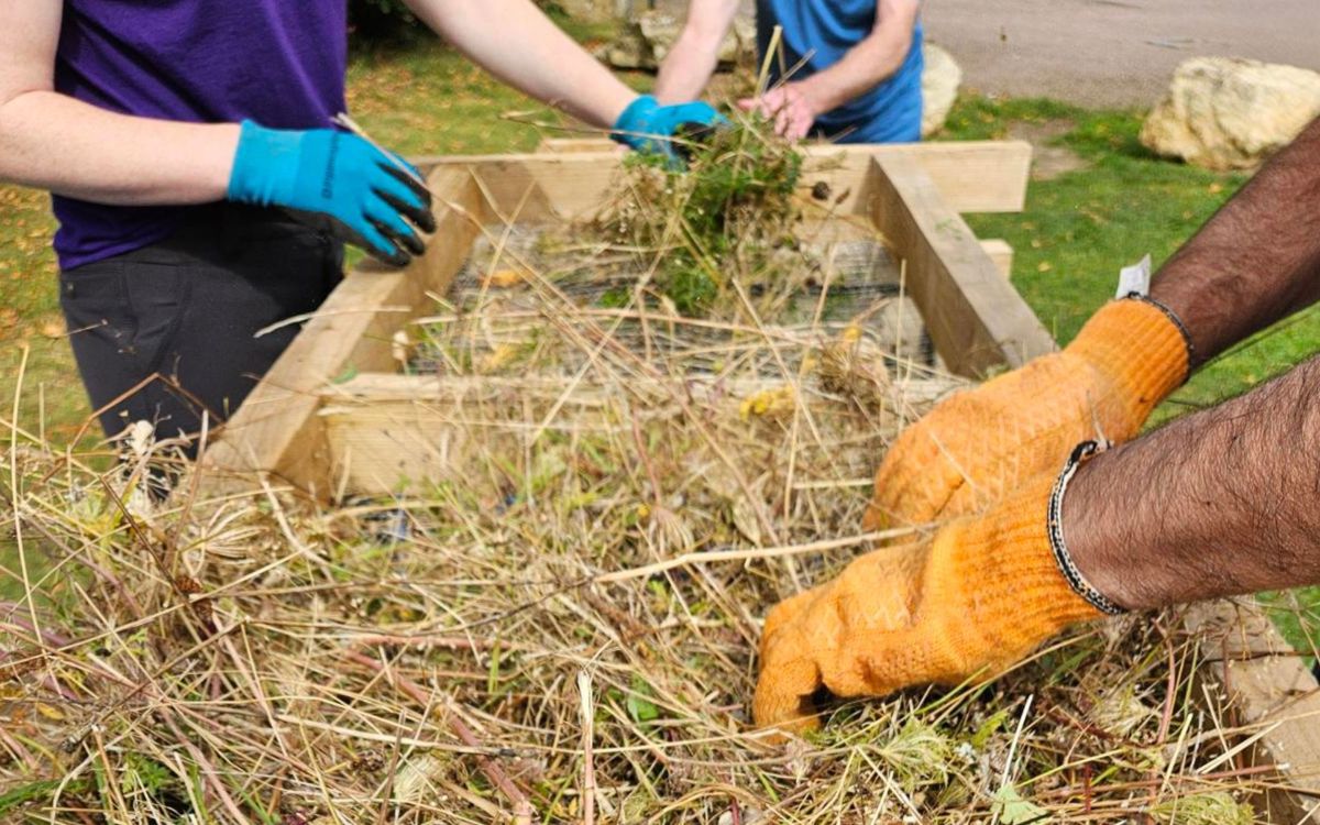 Volunteers hands separating wildflower seed from chaffe