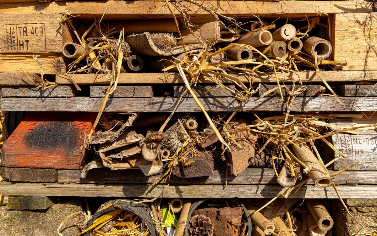 Bricks, sticks, pine cones and other natural items in wood