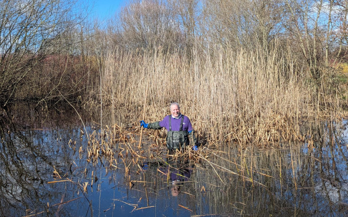 Parks Trust volunteer in waders in pond