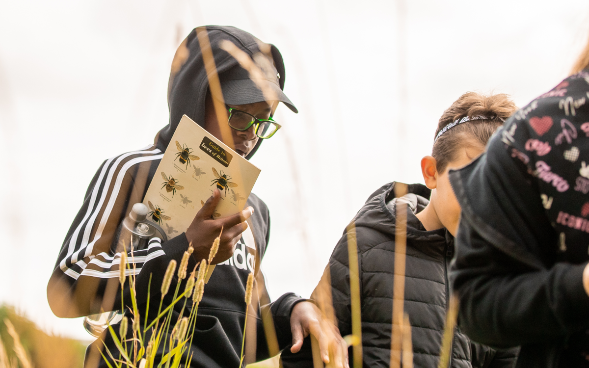 Children walk through long grass looking for insects, holding onto an identification guide.