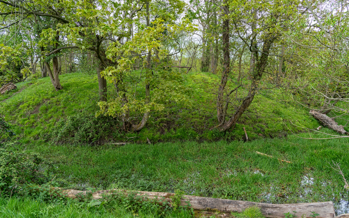 Image of motte (mound of earth) at the Toot