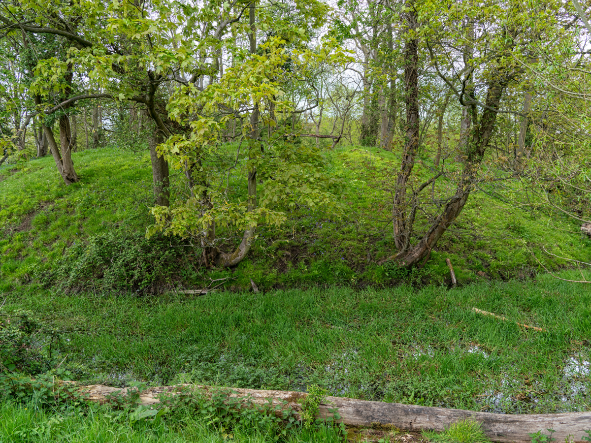 Image of motte (mound of earth) at the Toot