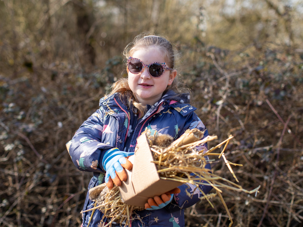 Nature Craft: Bug Hotel