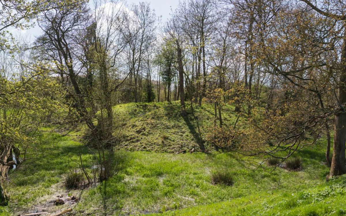 Image of motte at Shenley toot, covered in trees