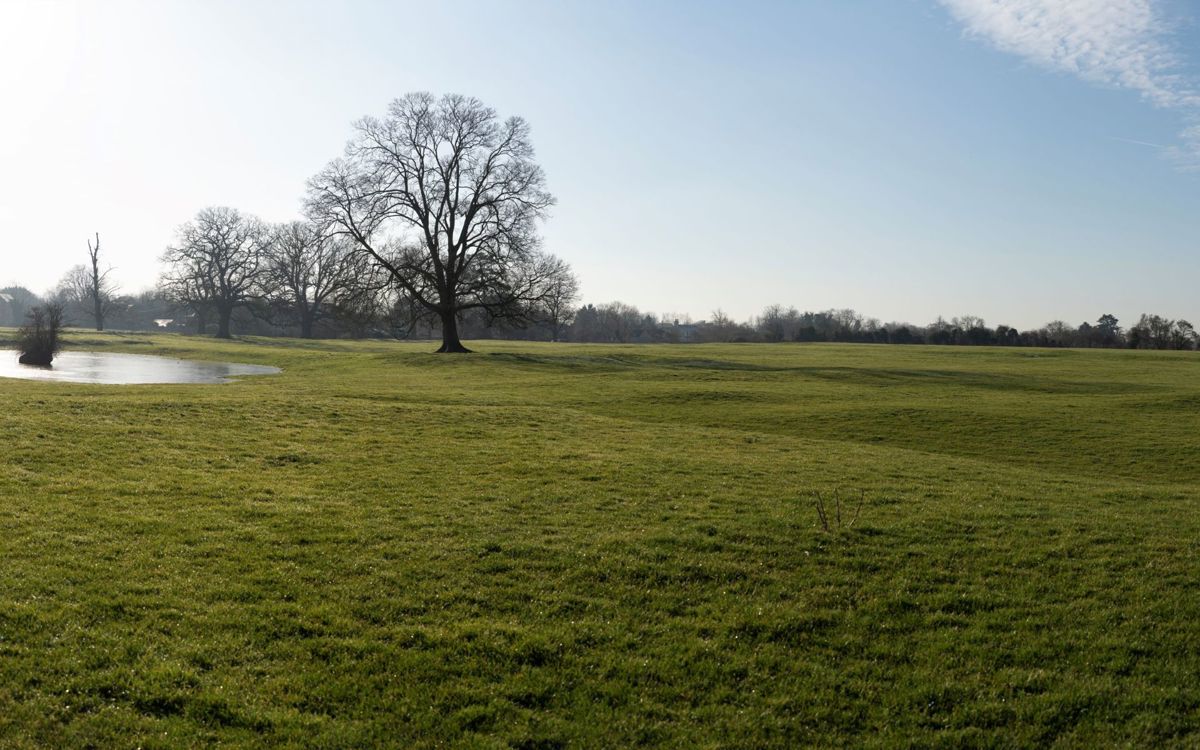 Manor Farm fields showing village pond and earthworks