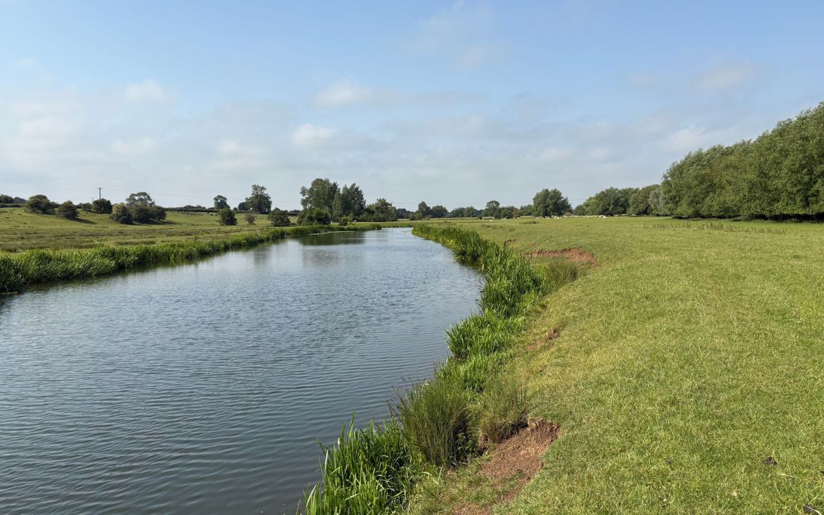 River through parkland with blue skies