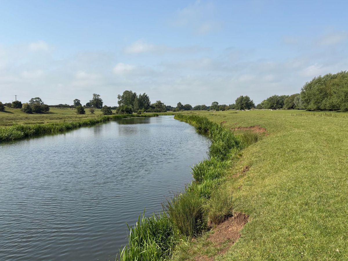 River through parkland with blue skies