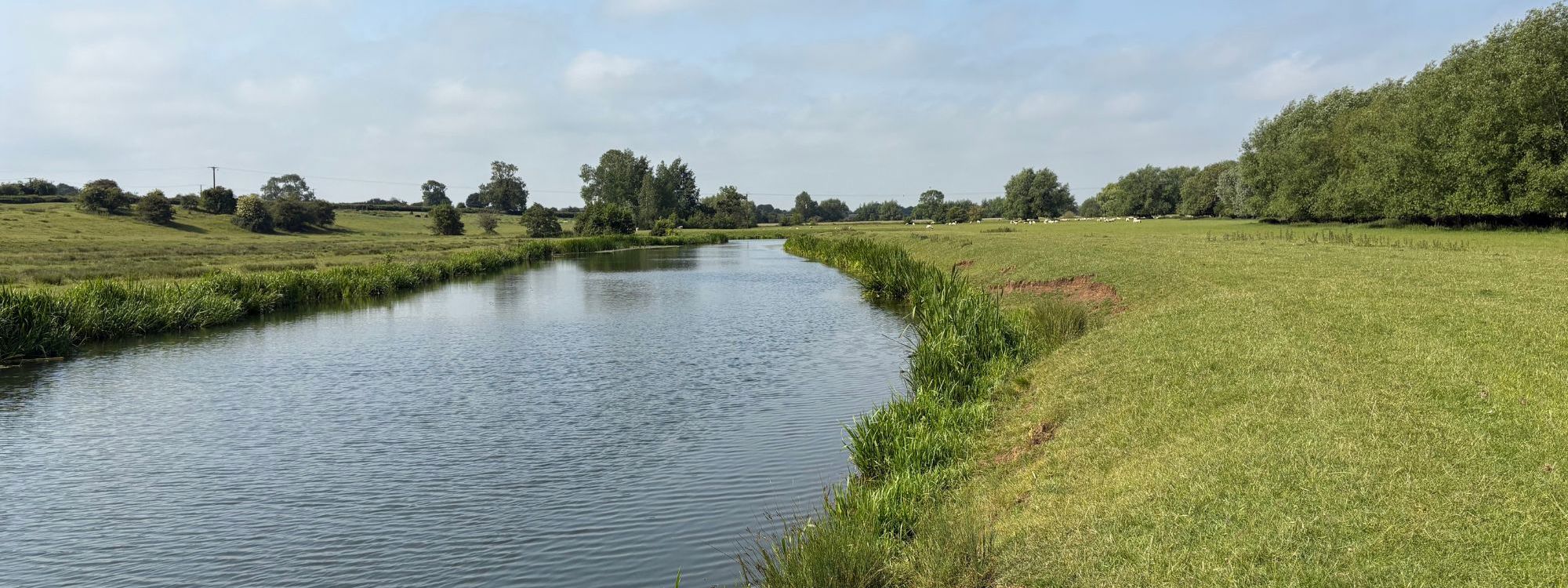 River through parkland with blue skies